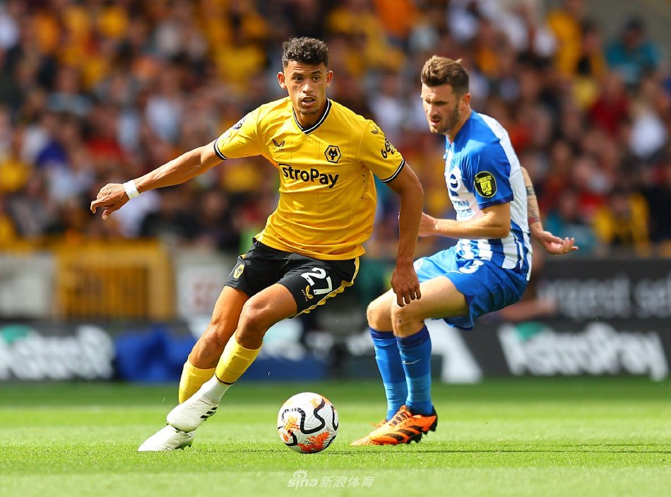 继续挥洒才 继续挥洒才